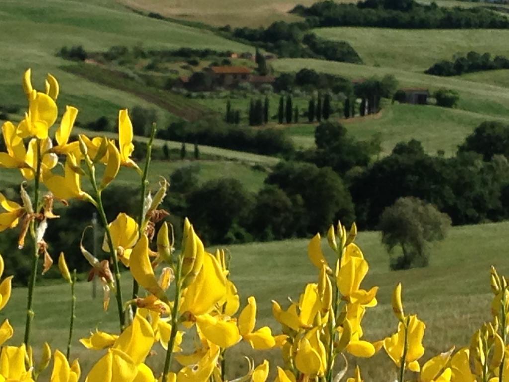 Agriturismo Santa Maria Villa Pienza Exterior foto