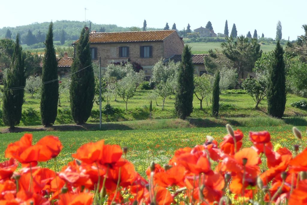 Agriturismo Santa Maria Villa Pienza Exterior foto