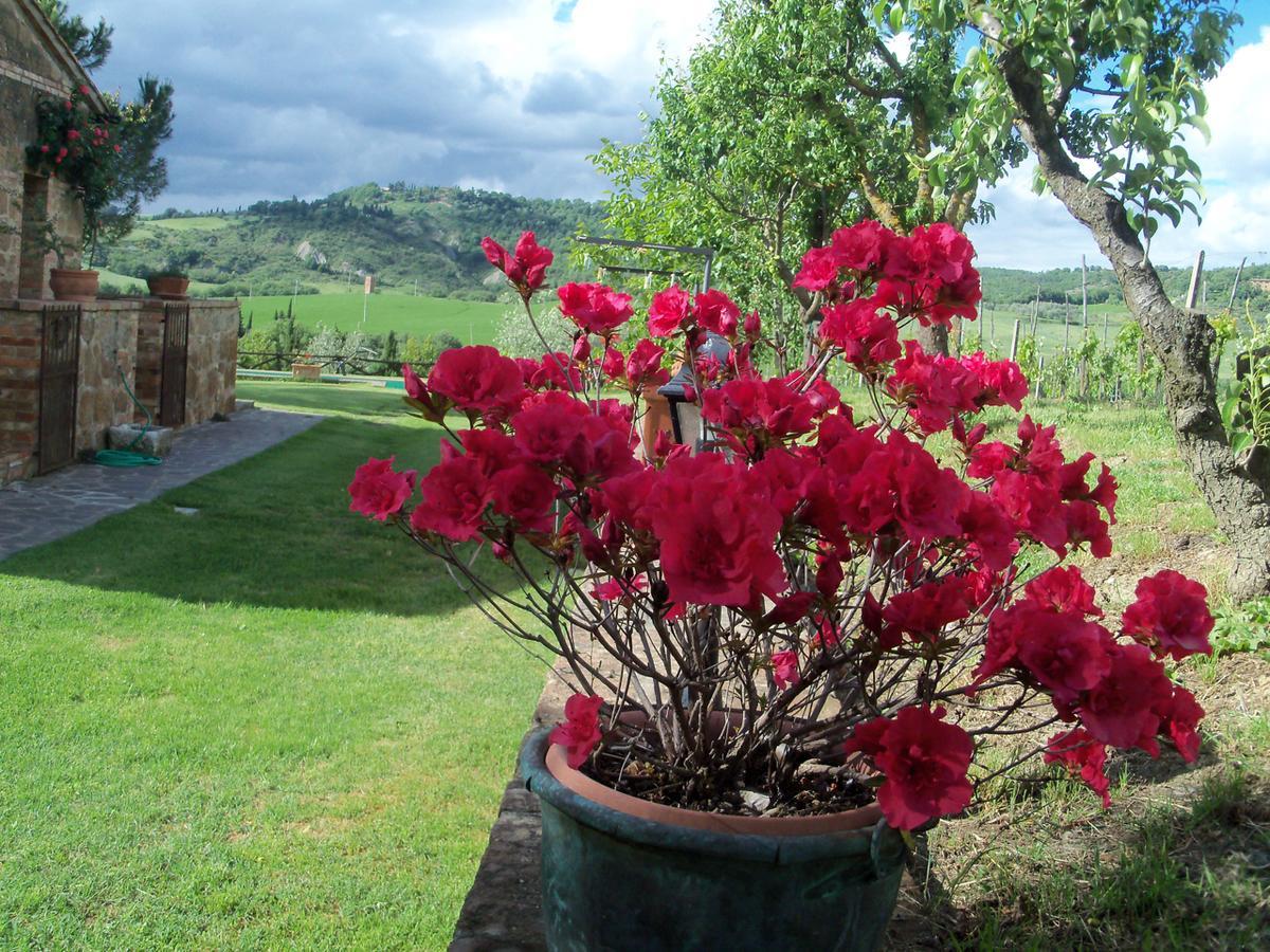 Agriturismo Santa Maria Villa Pienza Exterior foto